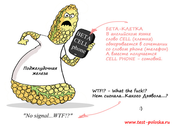 Поджелудночная железа говорит Бета-клетке - какого дьявола, нет сигнала?!