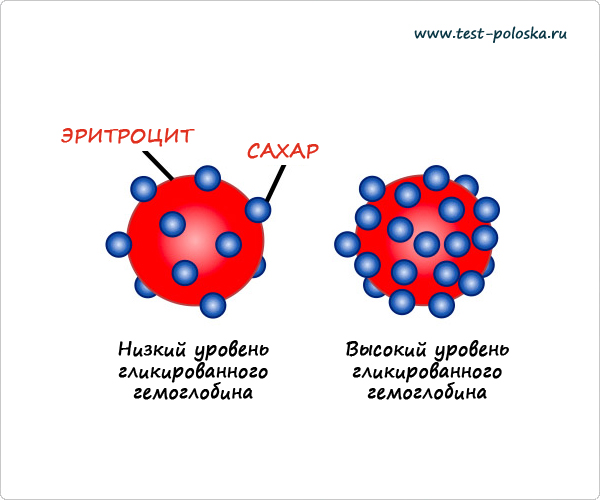 Гликированный гемоглобин