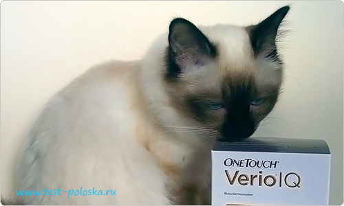 Кошка и коробка с глюкометром ВанТач Верио