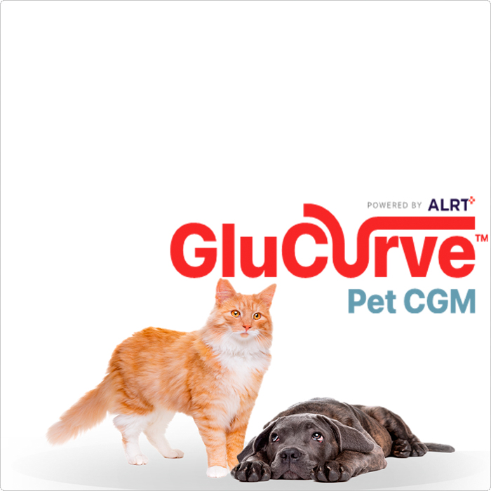 GluCurve Pet CGM первая система непрерывного мониторинга уровня глюкозы для домашних животных с сахарным диабетом