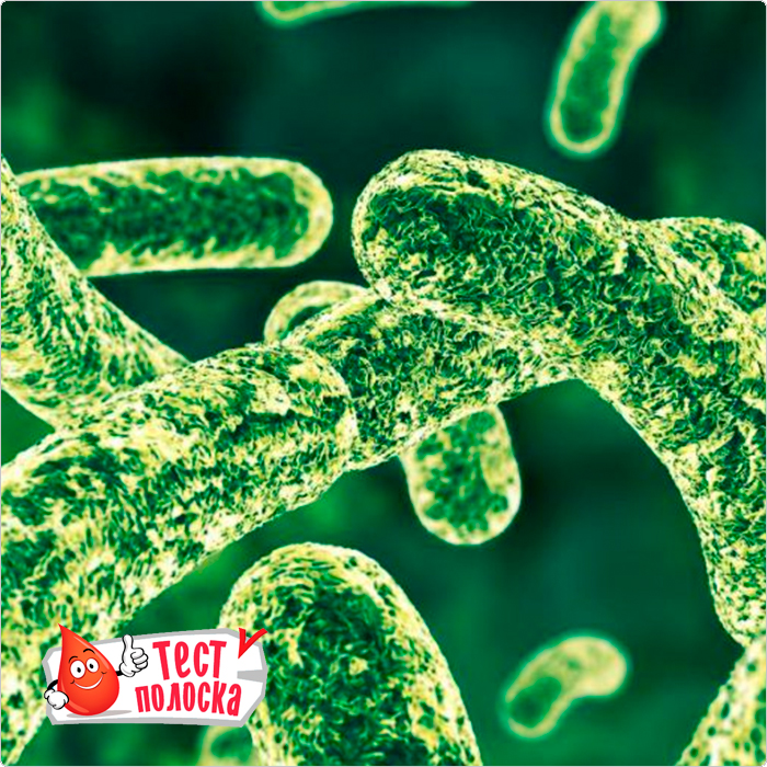 Helicobacter pylori: инфекция увеличивает ИМТ и риск ишемической болезни сердца
