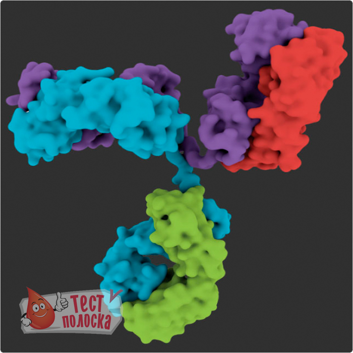 Тегопрубарт (ранее известный как AT-1501) — это первый потенциальный препарат для лечения бокового амиотрофического склероза